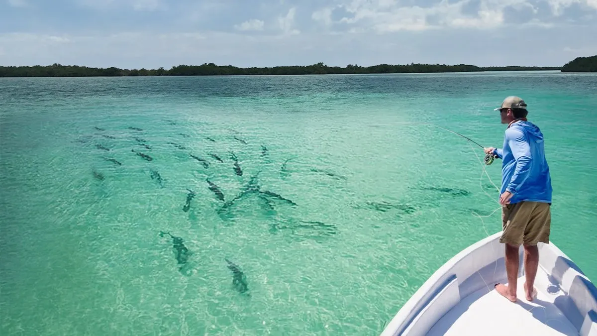 An angler casting from the bow of a flats skiff to a school of fish in shallow water, mangroves behind